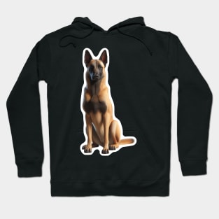 Belgian Malinois Hoodie